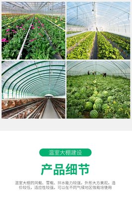 文洛型温室 蔬菜种植大棚 热镀锌钢架结构 经久耐用 锦善承建