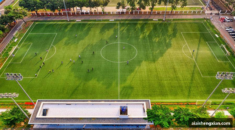 人生就是博(中国区)官方网站🎙️深度解读，冠军之路！🏆揭秘赛场背后的热血与汗水！